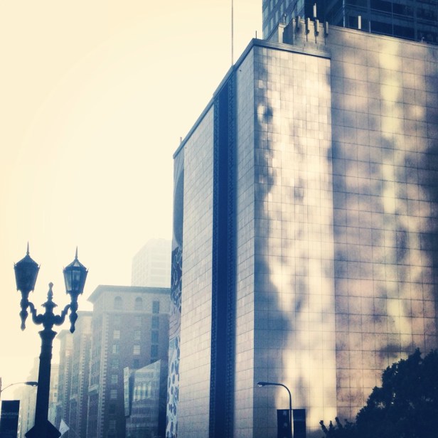 © 2013 Nicole Canegata (iPhone capture)