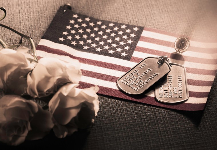 © 2013 Nicole Canegata